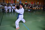 German_Open _Giebelstadt_2014_31.jpg